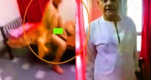 congress-leader-np-dube-news-2-620x330