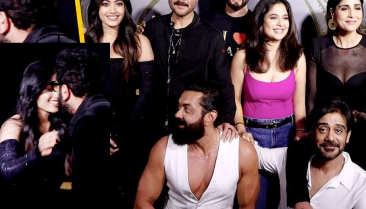 Animal Success Party